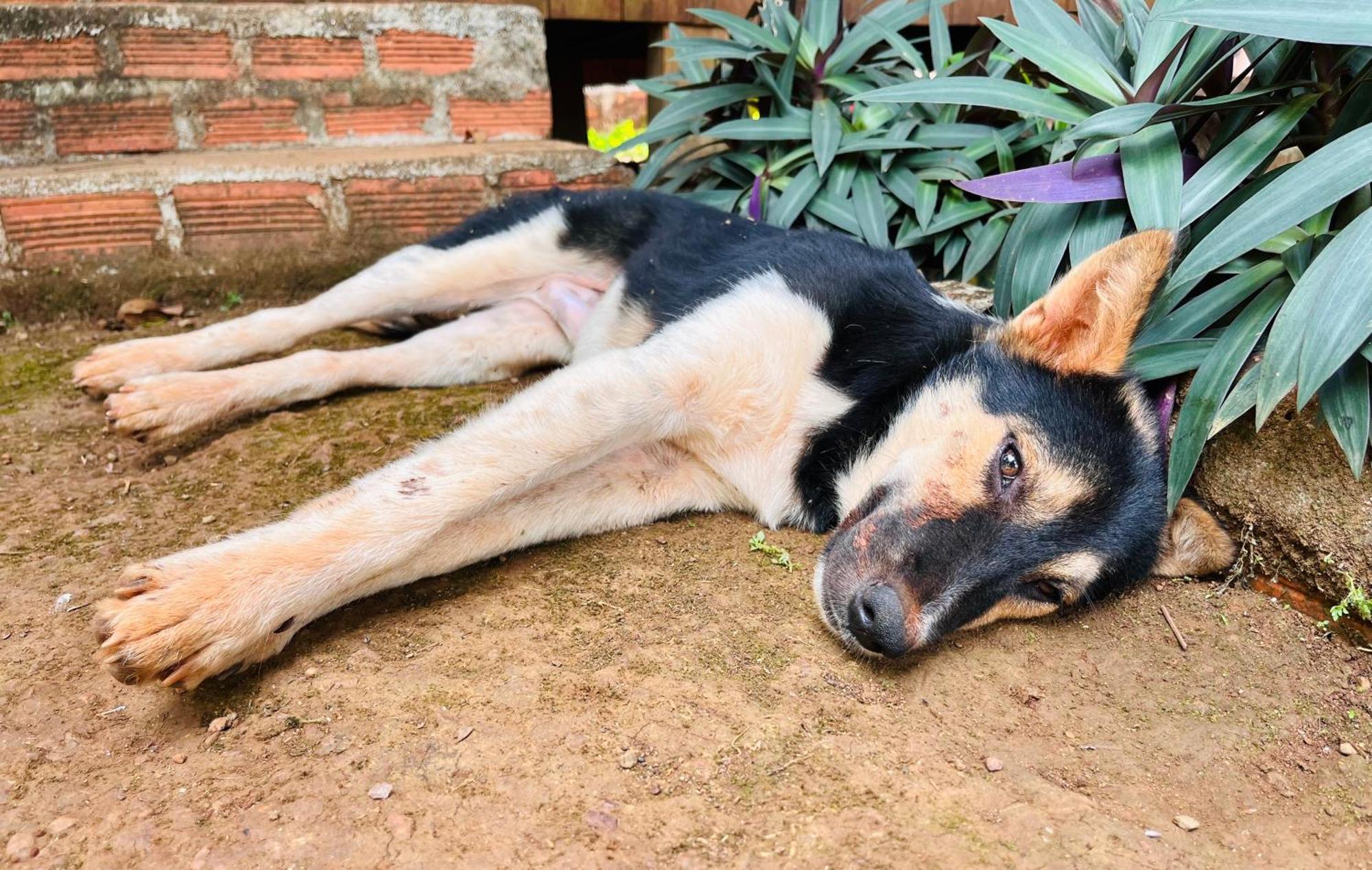 Ratanakiri Farmhouse & Trekking Banlung Екстер'єр фото