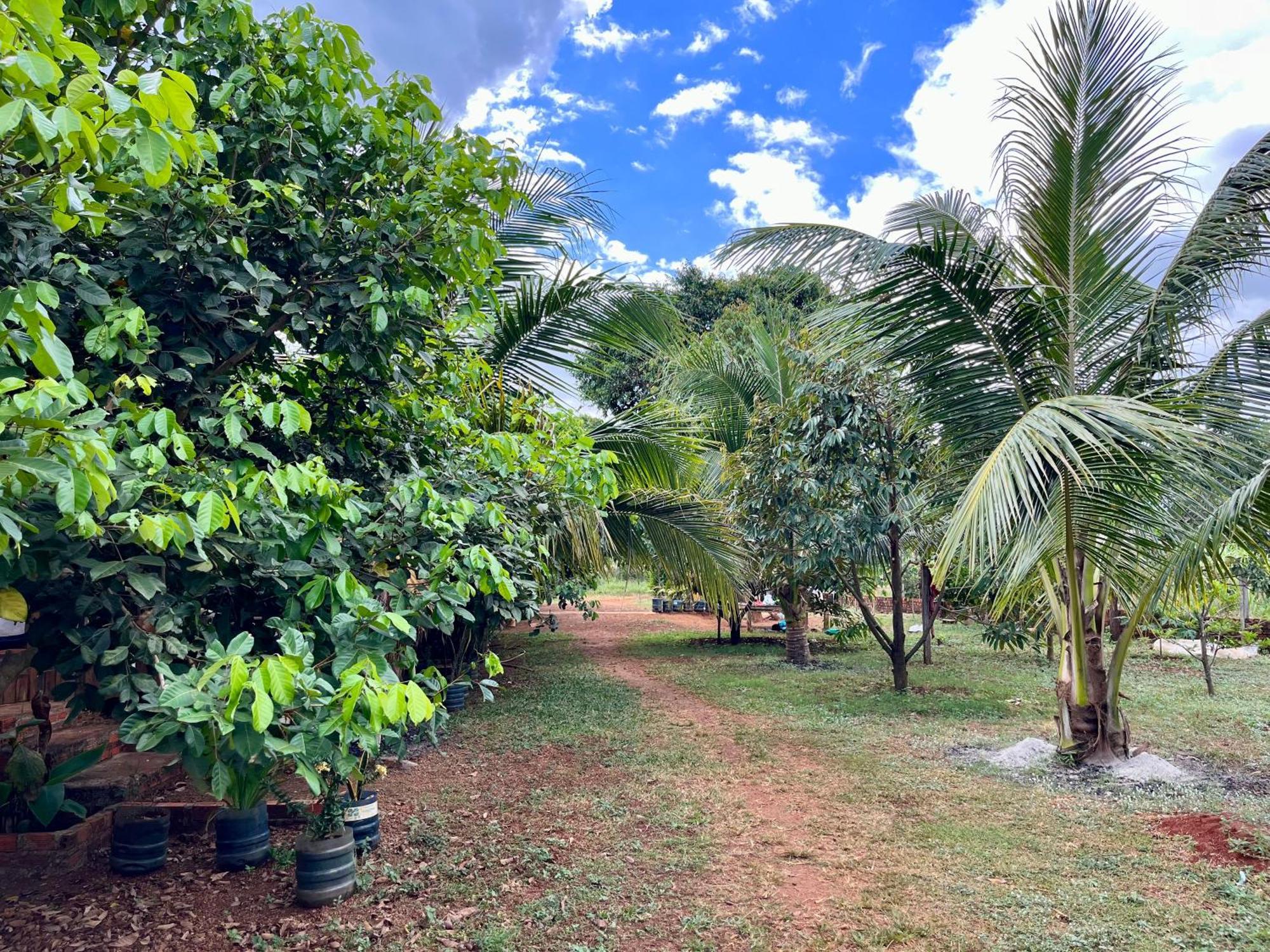Ratanakiri Farmhouse & Trekking Banlung Екстер'єр фото