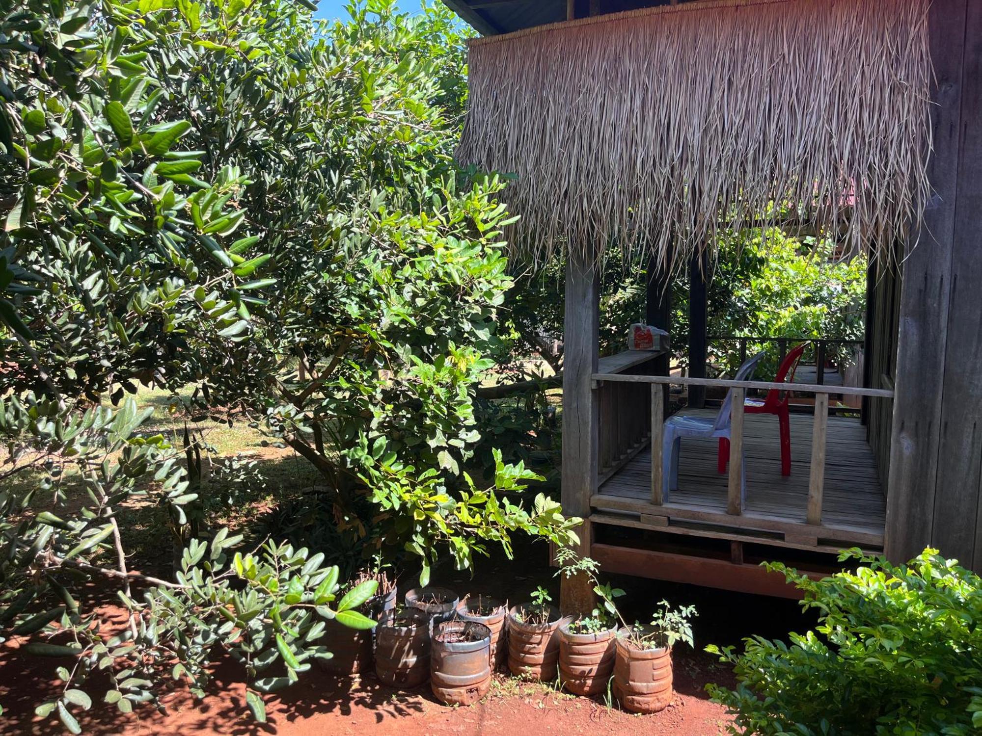 Ratanakiri Farmhouse & Trekking Banlung Екстер'єр фото