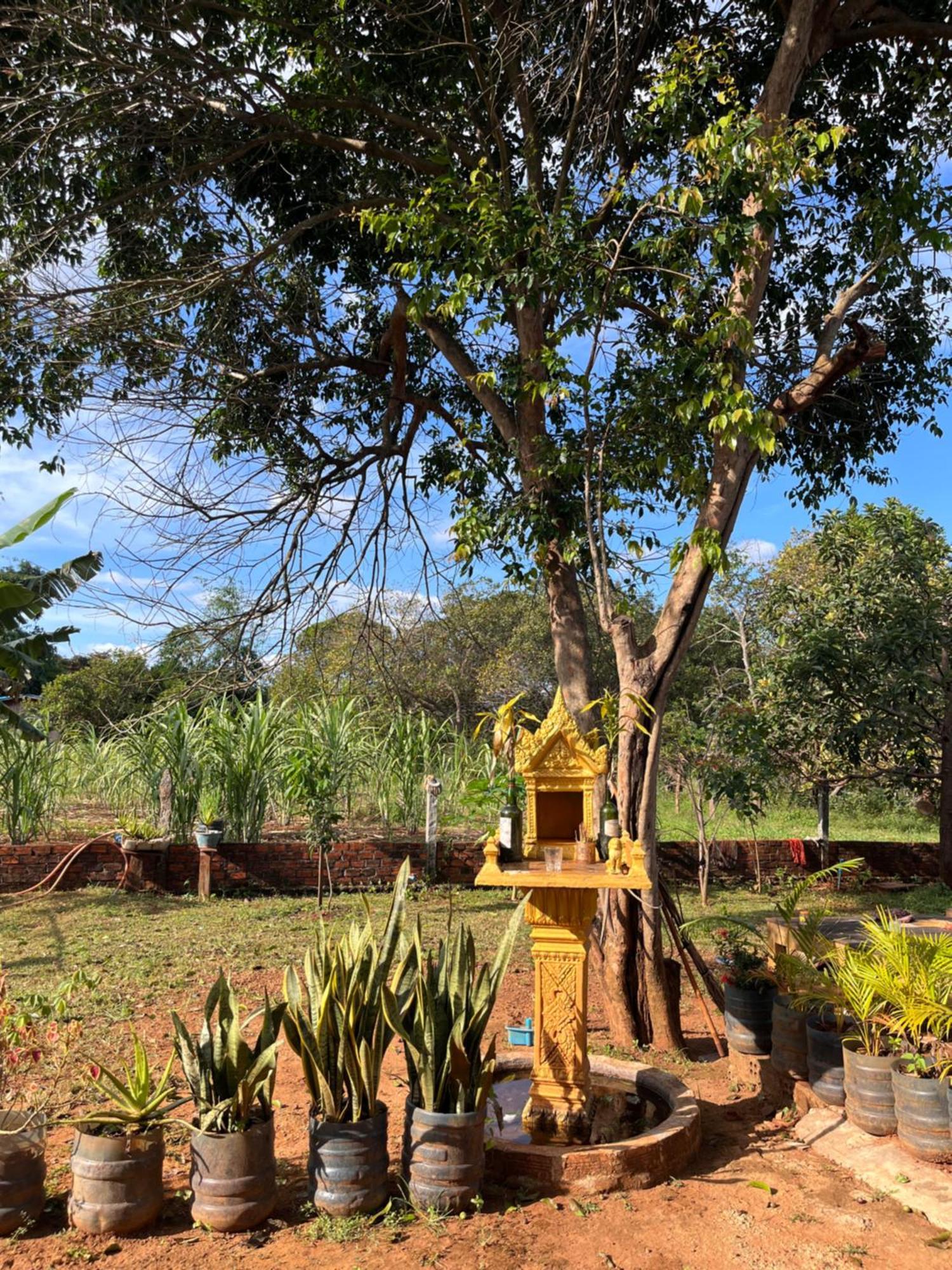 Ratanakiri Farmhouse & Trekking Banlung Екстер'єр фото