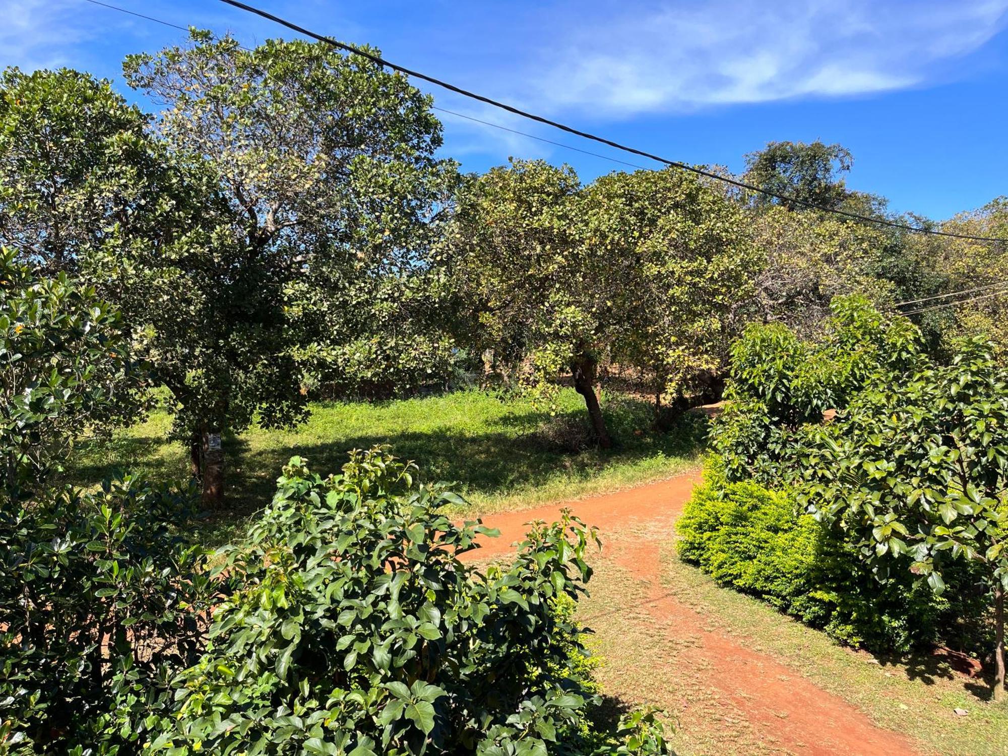 Ratanakiri Farmhouse & Trekking Banlung Екстер'єр фото